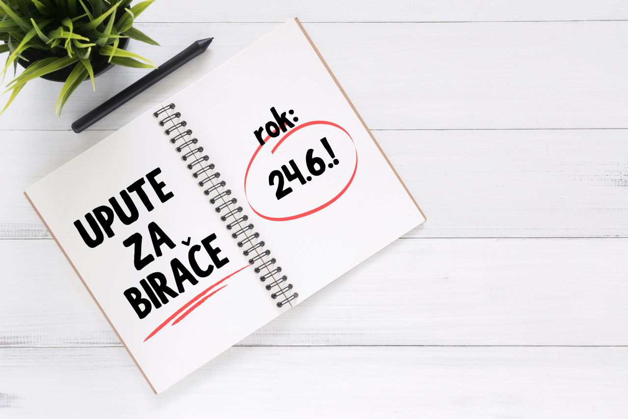 Parlamentarni izbori 2020., upute za birače